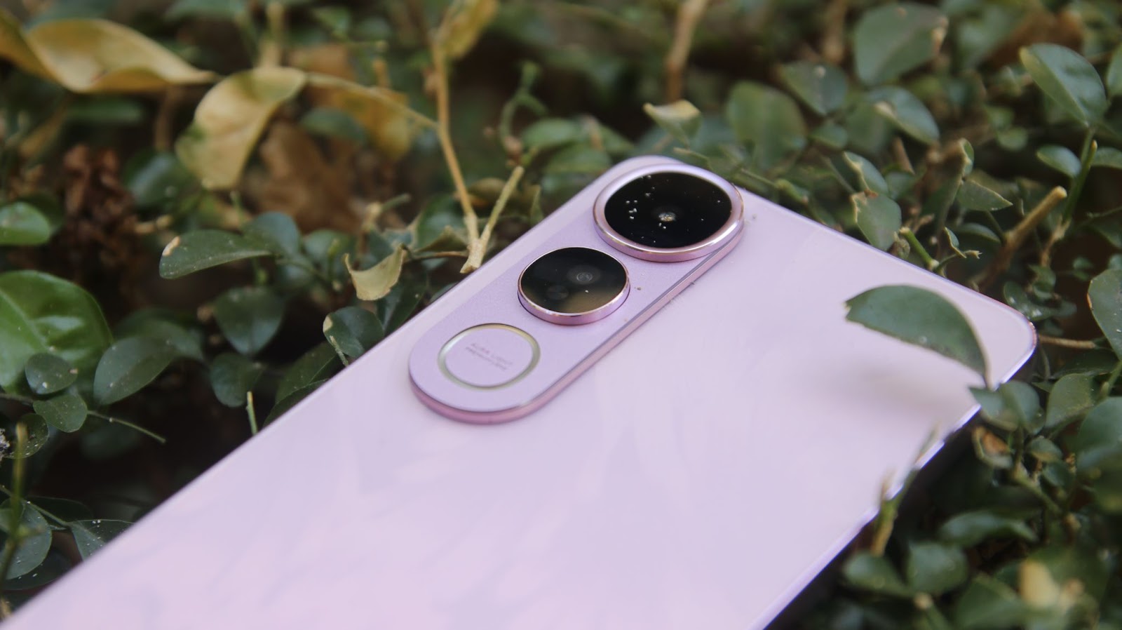 vivo V50 Lite